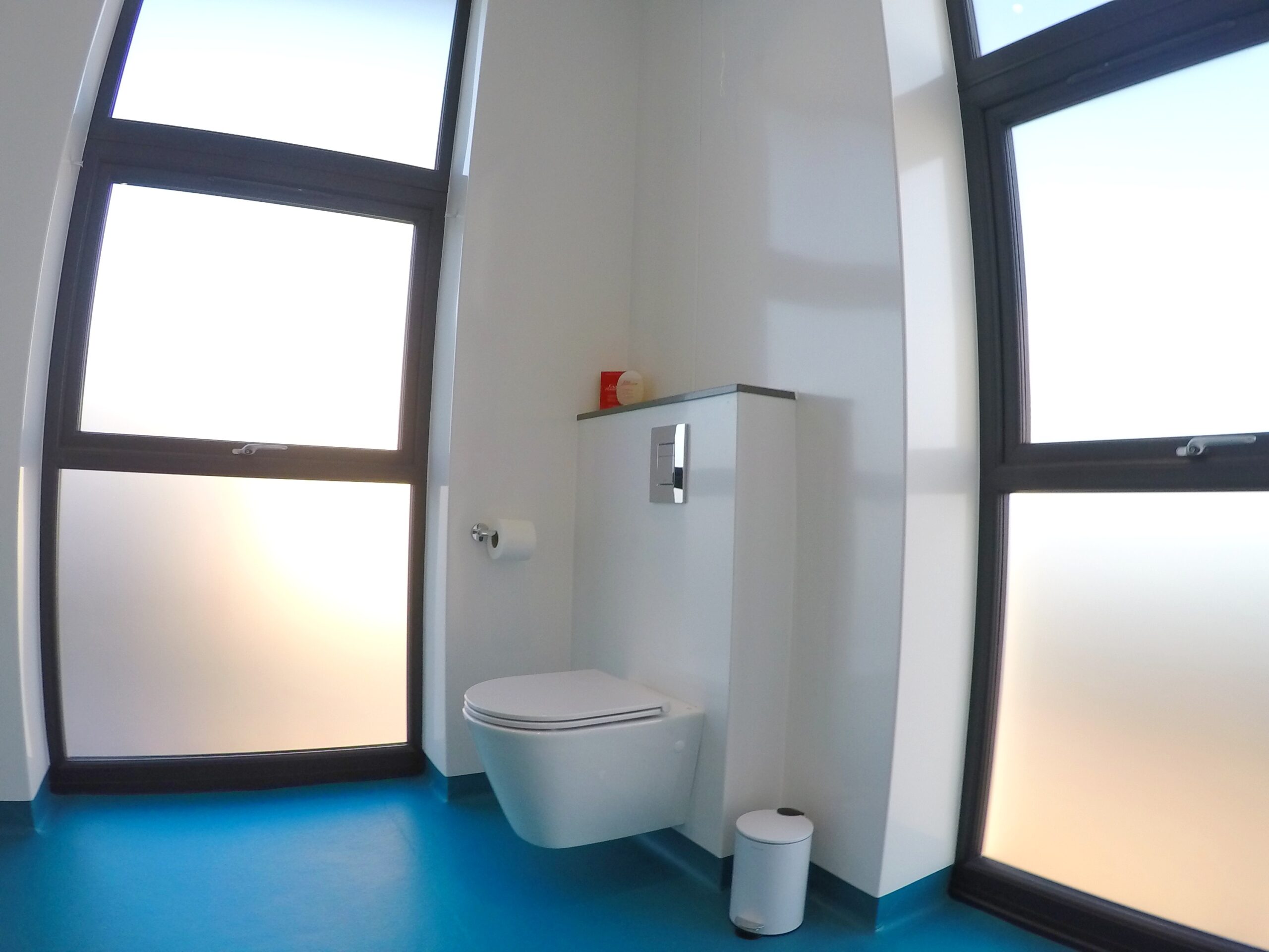 Wall hung WC to wetroom with teal coloured floor. Small bin. Two large frosted windows.