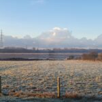 Frosty morning at The Estuary Riverside Chalets. View of a field turned white with frost with sheep in the field eating. Riverbank visible at the end of the field.